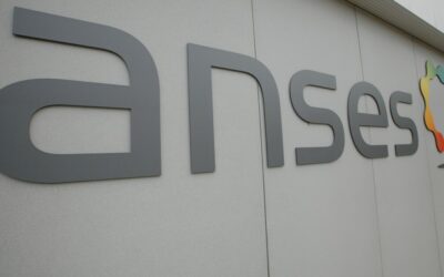 [Press release] Release of the ANSES report on exposure to 5G